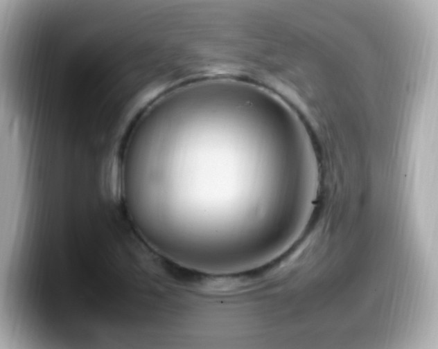 X0000099981171200805231419