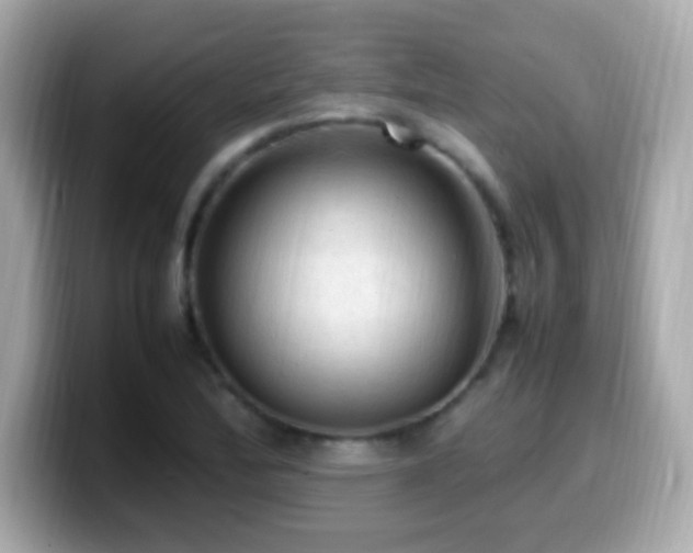 X0000099981172200805231419