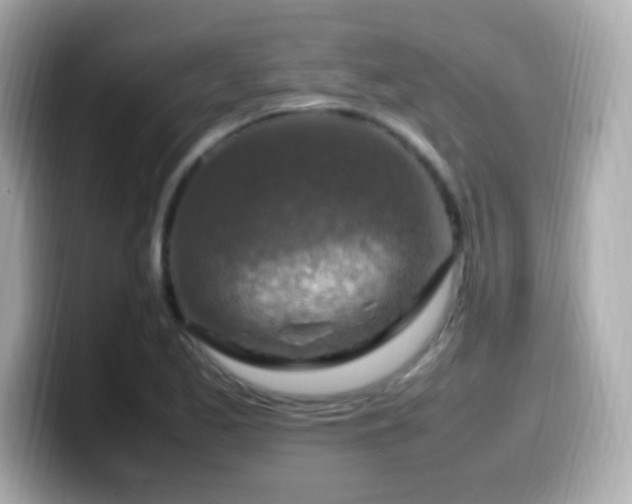 X0000099981173200805231419