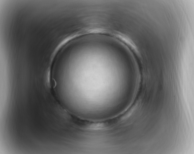 X0000099981174200805231419