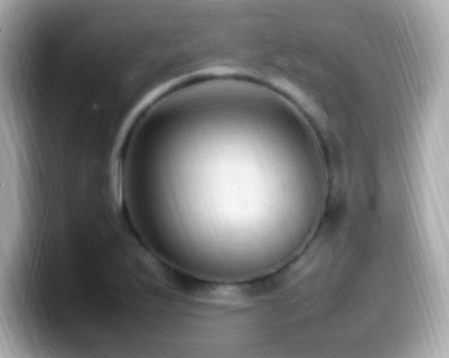 X0000099981175200805231419