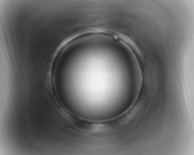 X0000099981176200805231419
