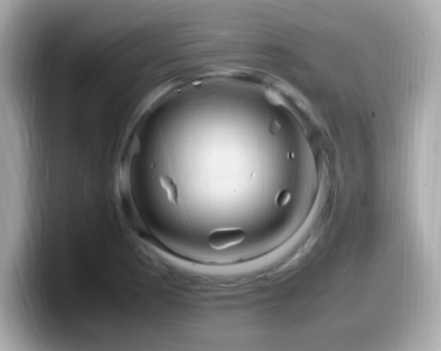 X0000099981177200805231419