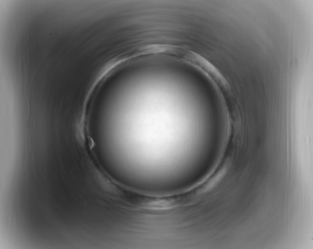 X0000099981178200805231419