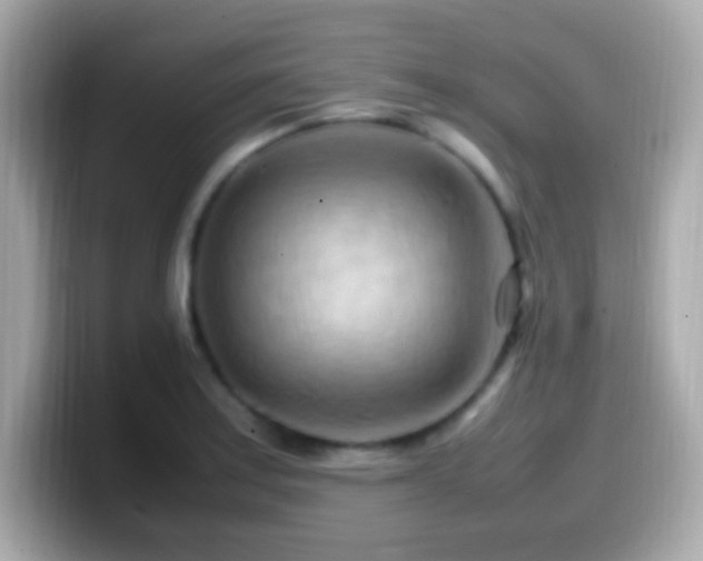 X0000099981179200805231419