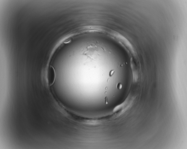 X0000099981182200805231419
