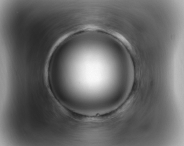 X0000099981183200805231419