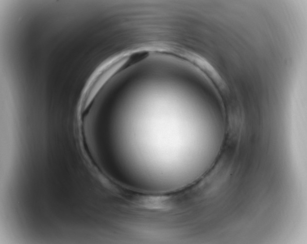 X0000099981184200805231419