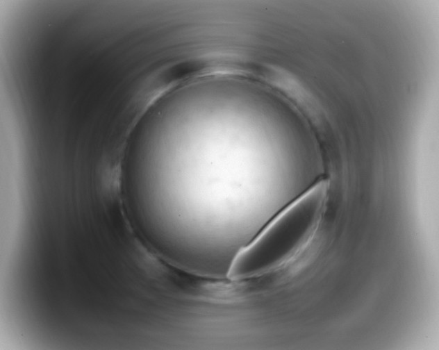 X0000099981185200805231419