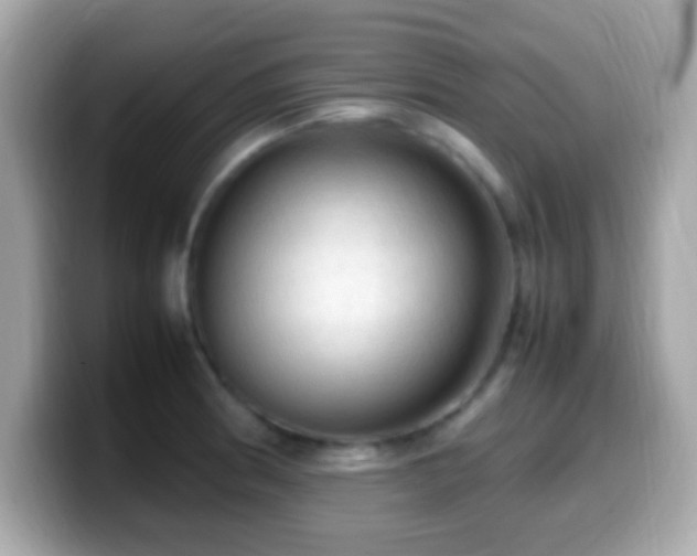 X0000099981186200805231419