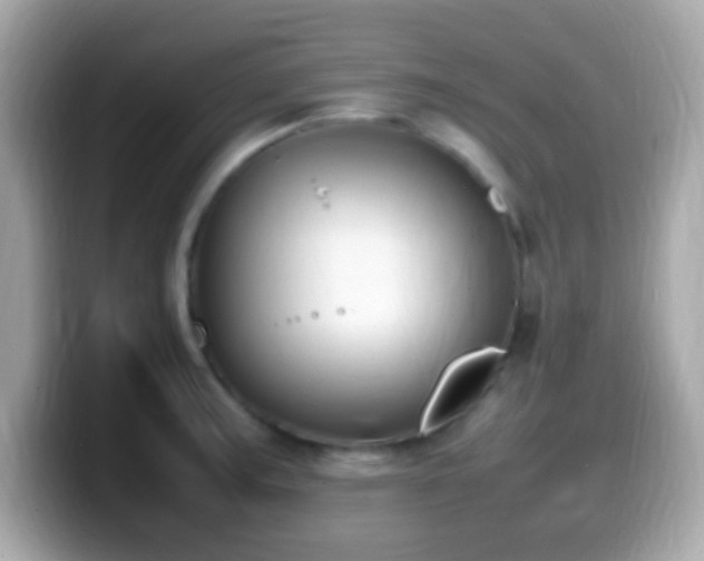 X0000099981187200805231419