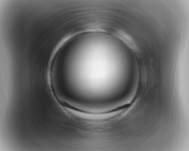 X0000099981188200805231419