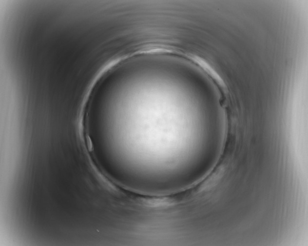 X0000099981189200805231419