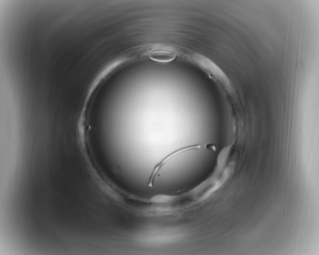 X0000099981190200805231419