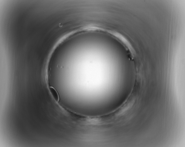 X0000099981191200805231419