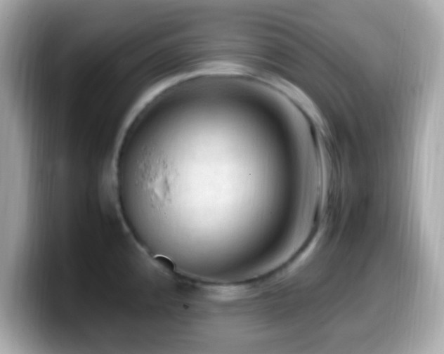 X0000099981192200805231419