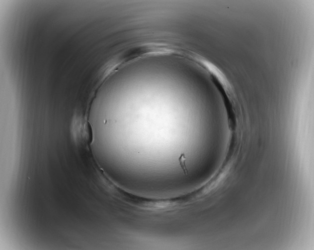 X0000099981193200805231418