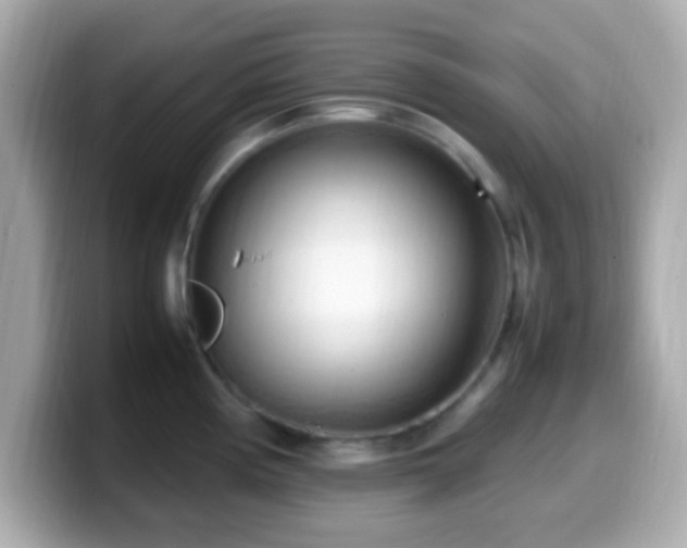 X0000099981194200805231418