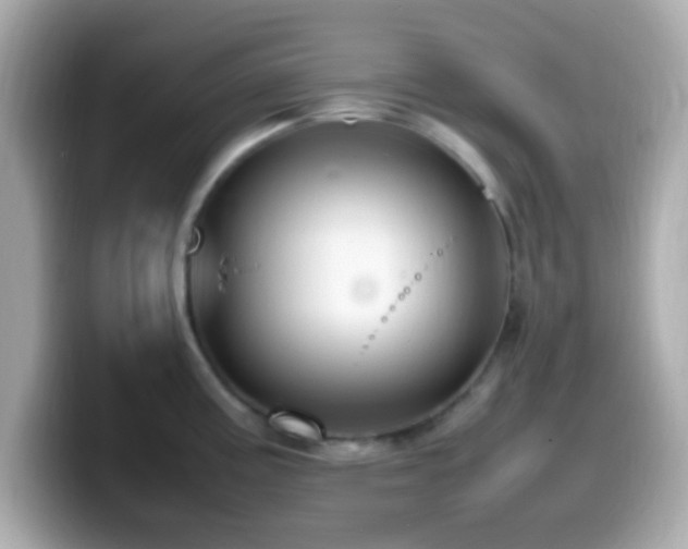 X0000099981195200805231418