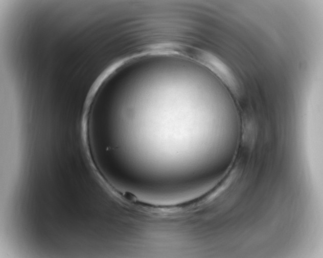 X0000099981196200805231418