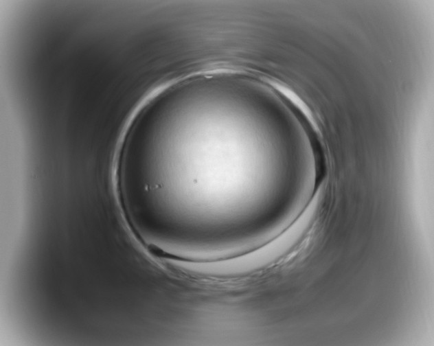 X0000099981197200805231418