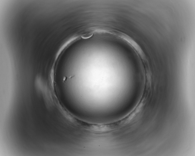 X0000099981198200805231418