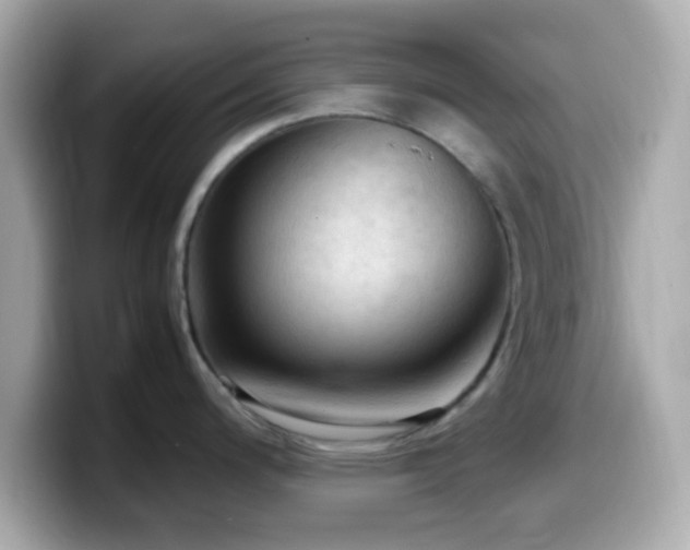 X0000099981200200805231418