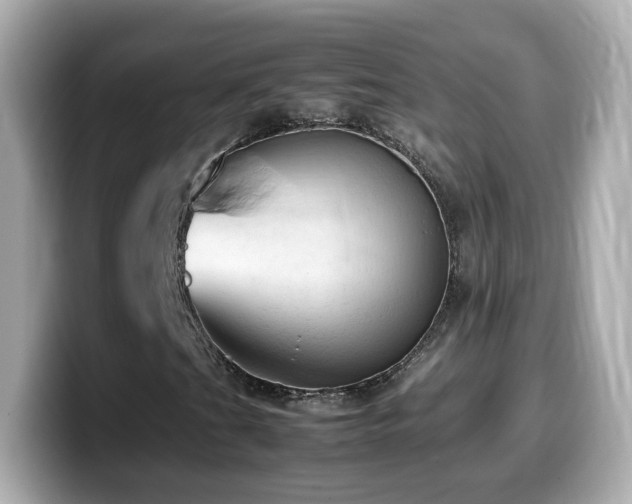 X0000099981201200805231418