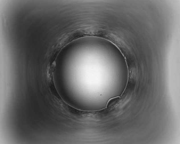 X0000099981202200805231418