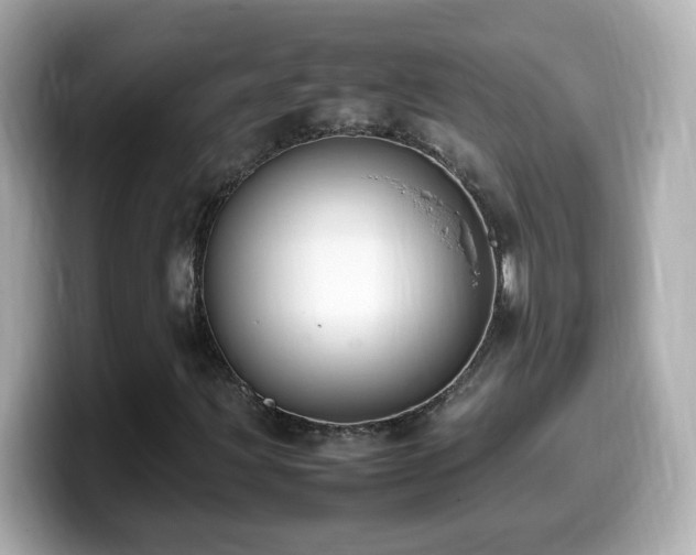 X0000099981203200805231418