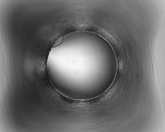 X0000099981204200805231418