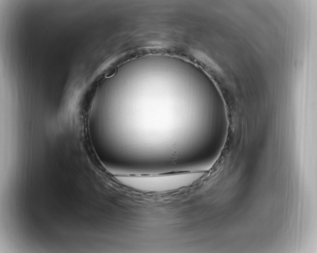 X0000099981208200805231418