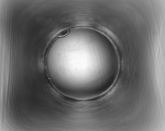 X0000099981212200805231418