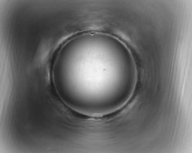 X0000099981214200805231418