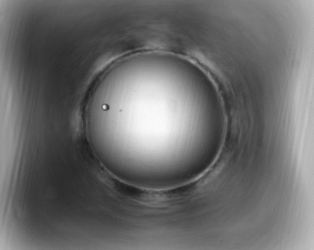 X0000099981215200805231418