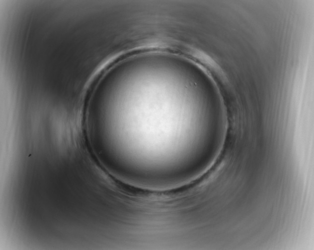 X0000099981216200805231418
