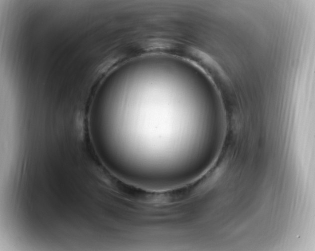 X0000099981217200805231418