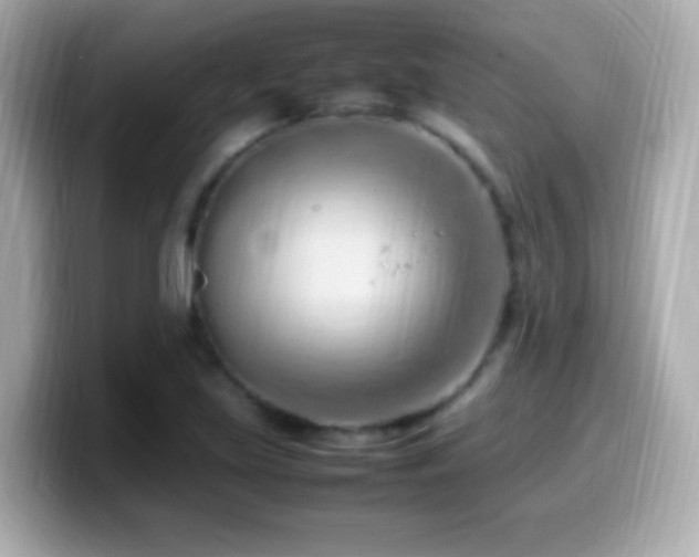 X0000099981219200805231418