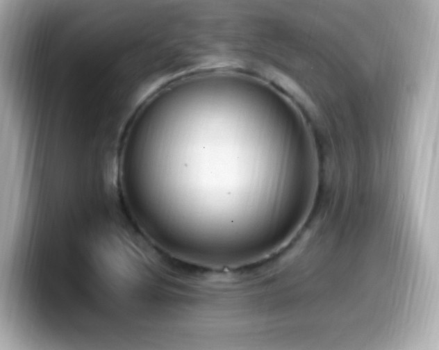X0000099981220200805231418
