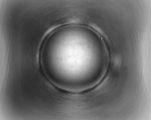 X0000099981222200805231418