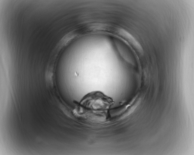 X0000099981225200805231418