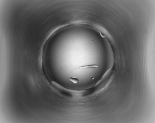 X0000099981228200805231418