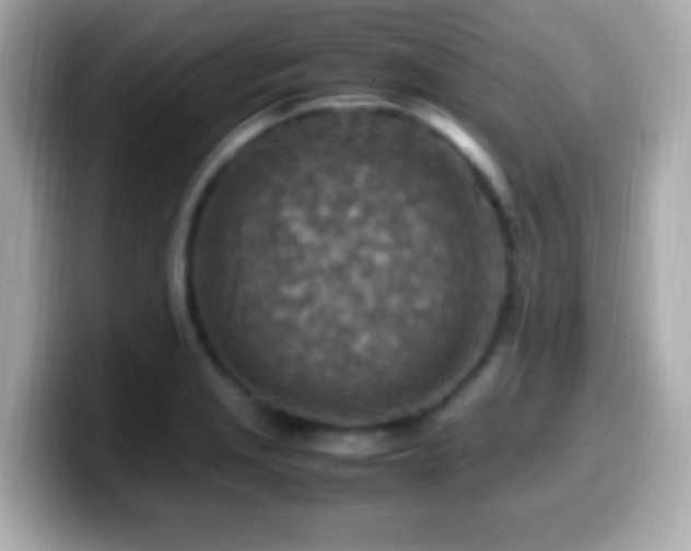 X0000099981229200805231418