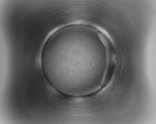 X0000099981230200805231418