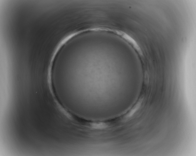 X0000099981231200805231418
