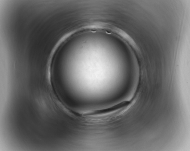 X0000099981232200805231418