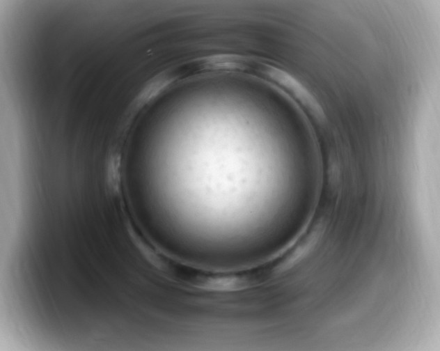 X0000099981233200805231418