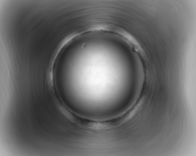 X0000099981234200805231418