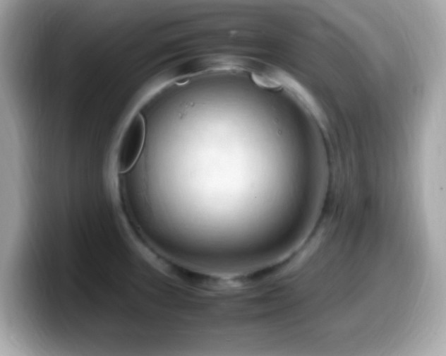 X0000099981235200805231418