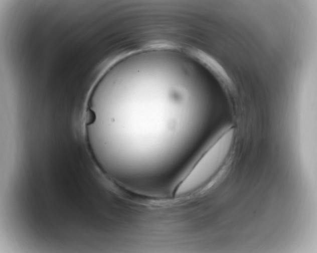 X0000099981236200805231418